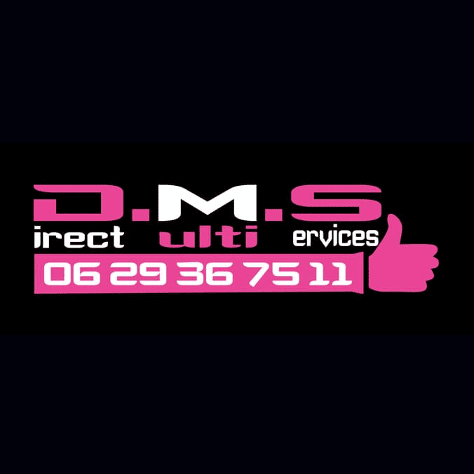 logo DMS Direct Multi-Services